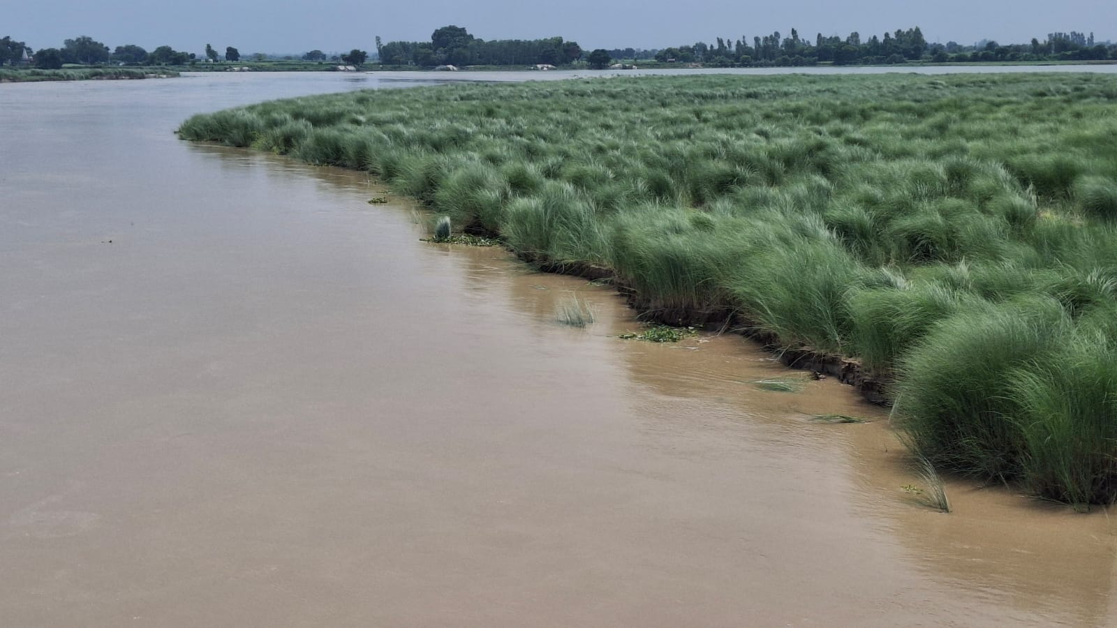 फोटो 28: गंगा नदी के बाढ़ के पानी से जीवनपुरवा में खेतों में फसलें डूबीं। संवाद फोटो 28: गंगा नदी के बाढ़ के पानी से जीवनपुरवा में खेतों में फसलें डूबीं। संवाद