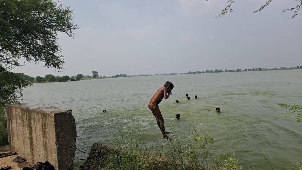 नगदीलपुर में खेत में बाढ़ का पानी आने के बाद परवल तुड़ाई करते किसान। संवाद नगदीलपुर में खेत में बाढ़ का पानी आने के बाद परवल तुड़ाई करते किसान। संवाद