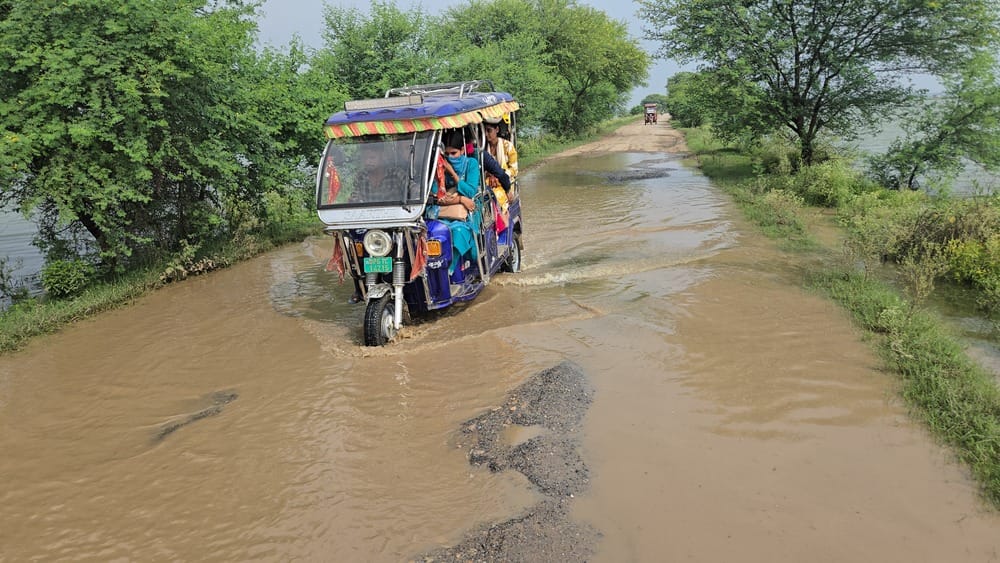 नगदीलपुर में खेत में बाढ़ का पानी आने के बाद परवल तुड़ाई करते किसान। संवाद नगदीलपुर में खेत में बाढ़ का पानी आने के बाद परवल तुड़ाई करते किसान। संवाद