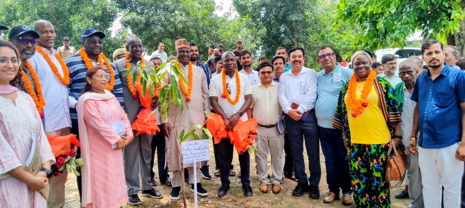 नाइजीरिया के प्रतिनिधिमंडल ने कृषि और सहकारिता से जुड़ी गतिविधियों की जानकारी हासिल की। नाइजीरिया के प्रतिनिधिमंडल ने कृषि और सहकारिता से जुड़ी गतिविधियों की जानकारी हासिल की।
