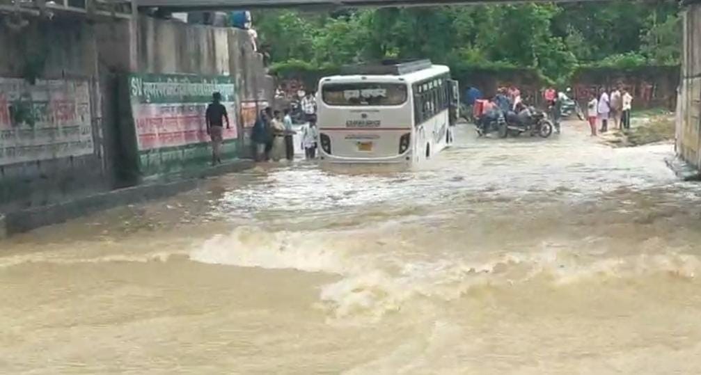 पेड़ के नीचे दबे वाहन। पेड़ के नीचे दबे वाहन।