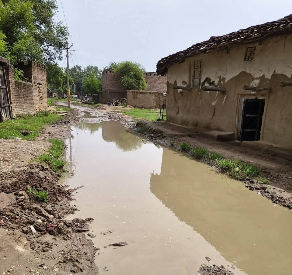 फोटो 22 सीकेटीपी 10 नरेंद्र तिवारी। संवाद फोटो 22 सीकेटीपी 10 नरेंद्र तिवारी। संवाद