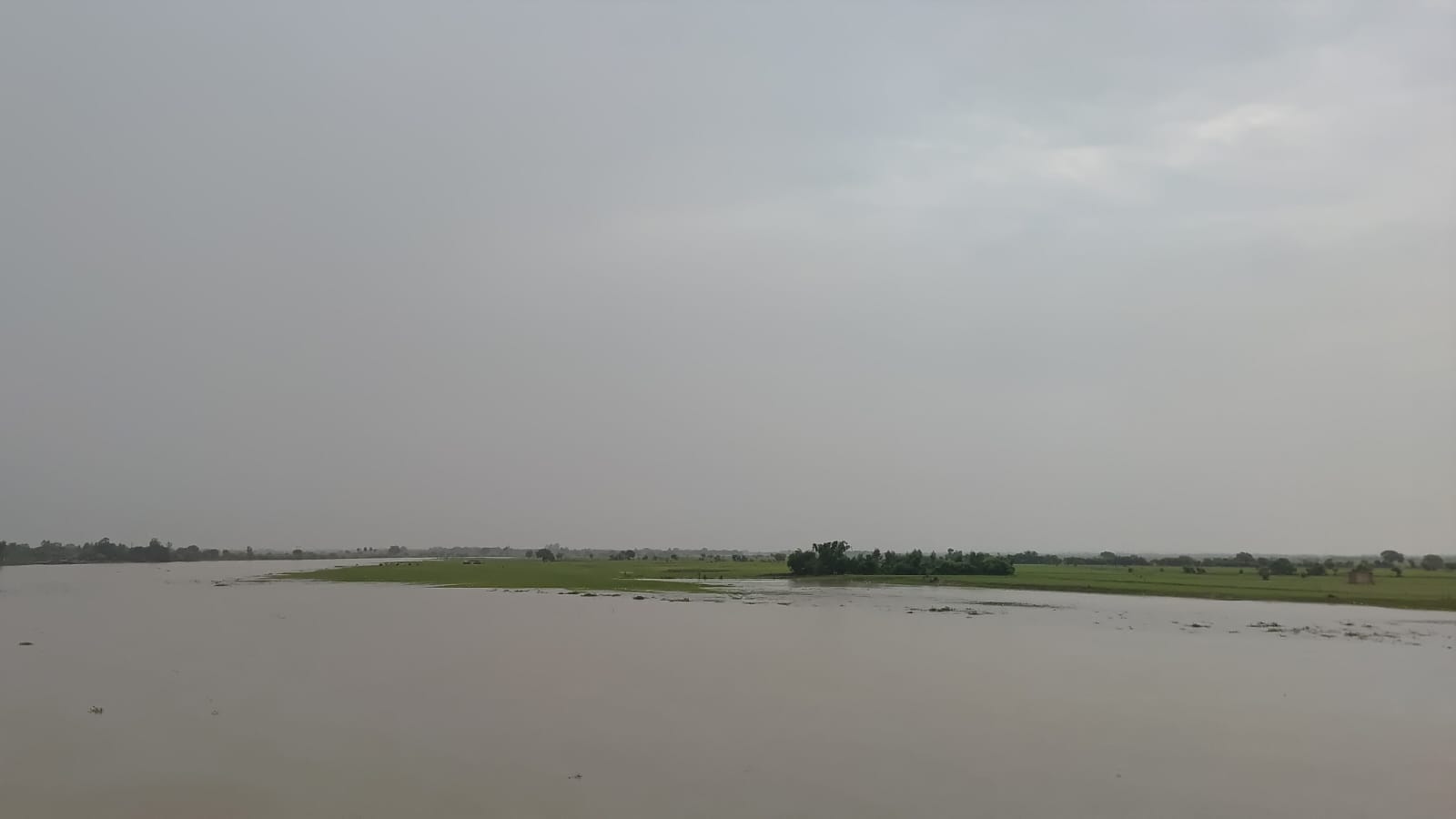 फोटो 45: म्योरा गांव में फसलों की ओर जाता नाले का पानी। संवाद फोटो 45: म्योरा गांव में फसलों की ओर जाता नाले का पानी। संवाद