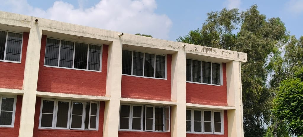 कलरी जागीर गांव के खेल परिसर में उगी घास। संवाद कलरी जागीर गांव के खेल परिसर में उगी घास। संवाद