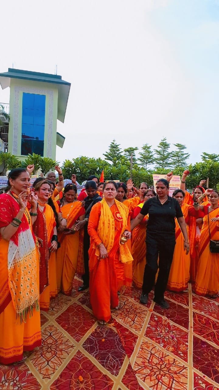 प्रथम सनातनी झूलोत्सव में दिखा उत्साह