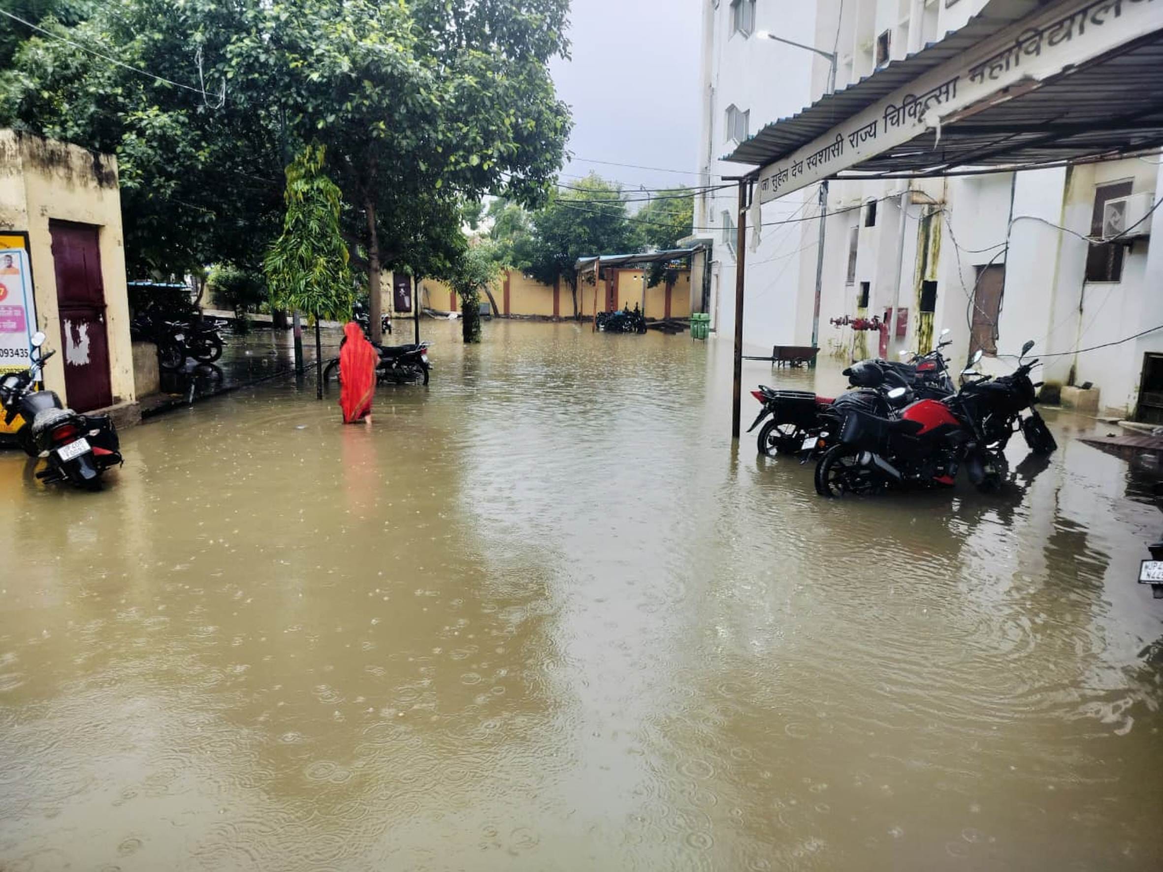 बारिश से गिरा पेड़ व मेडिकल कॉलेज में हुआ जलभराव। बारिश से गिरा पेड़ व मेडिकल कॉलेज में हुआ जलभराव।