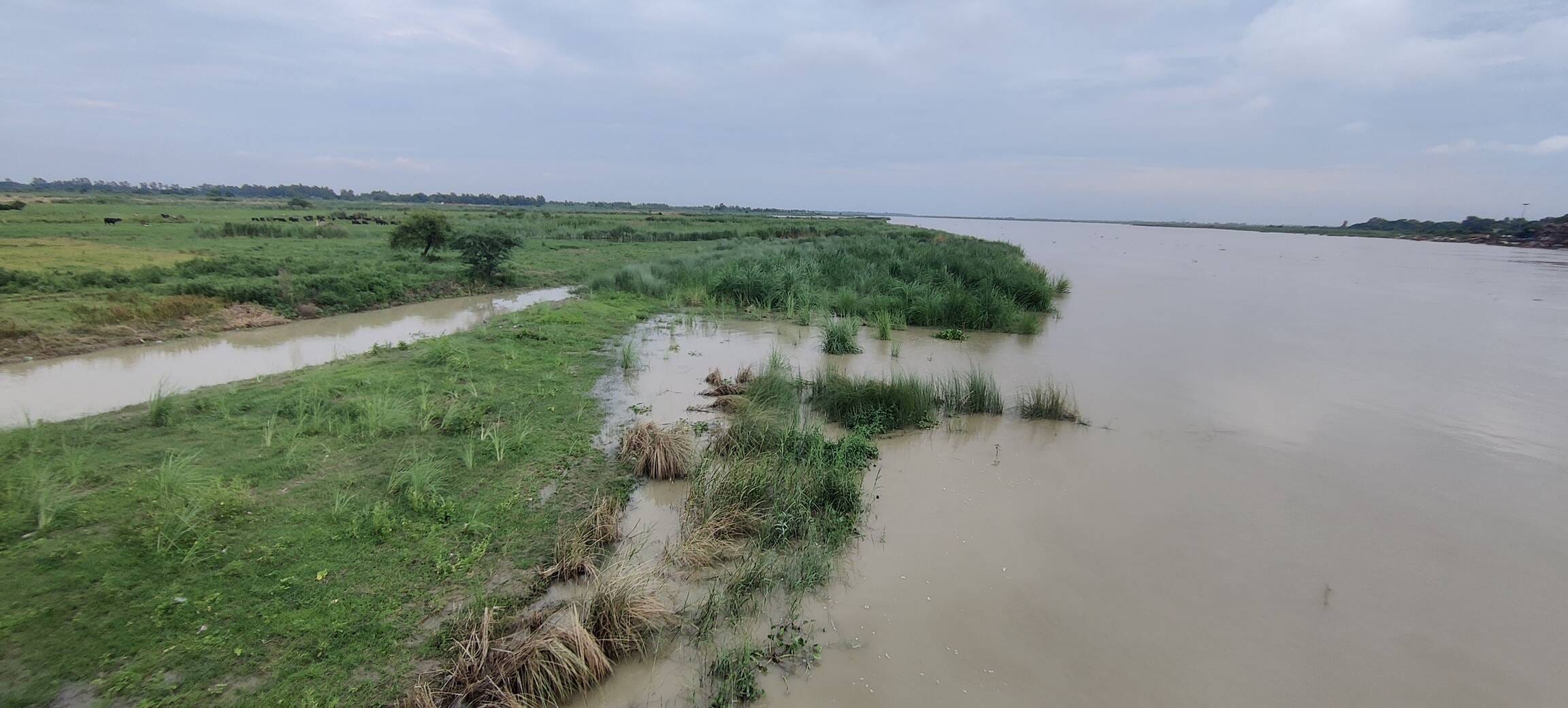 फोटो-18-बढ़ते जलस्तर के दौरान नाव के सहारे लकड़ियां लाता युवक। संवाद