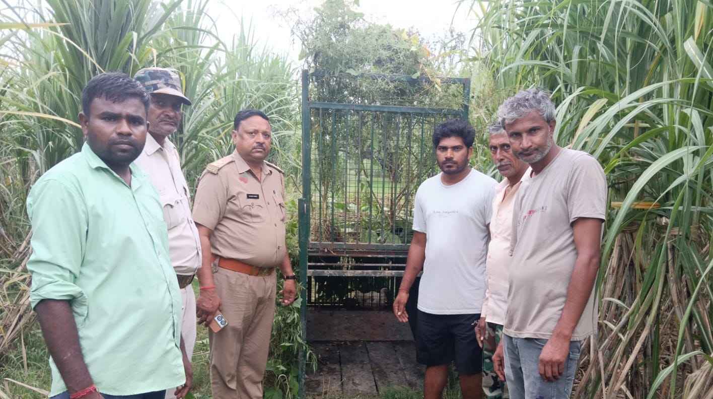 नहटौर के गांव मुस्सेपुर में गुलदार के हमले में मरने वाले मासूम रोहित का फाइल फोटो। नहटौर के गांव मुस्सेपुर में गुलदार के हमले में मरने वाले मासूम रोहित का फाइल फोटो।
