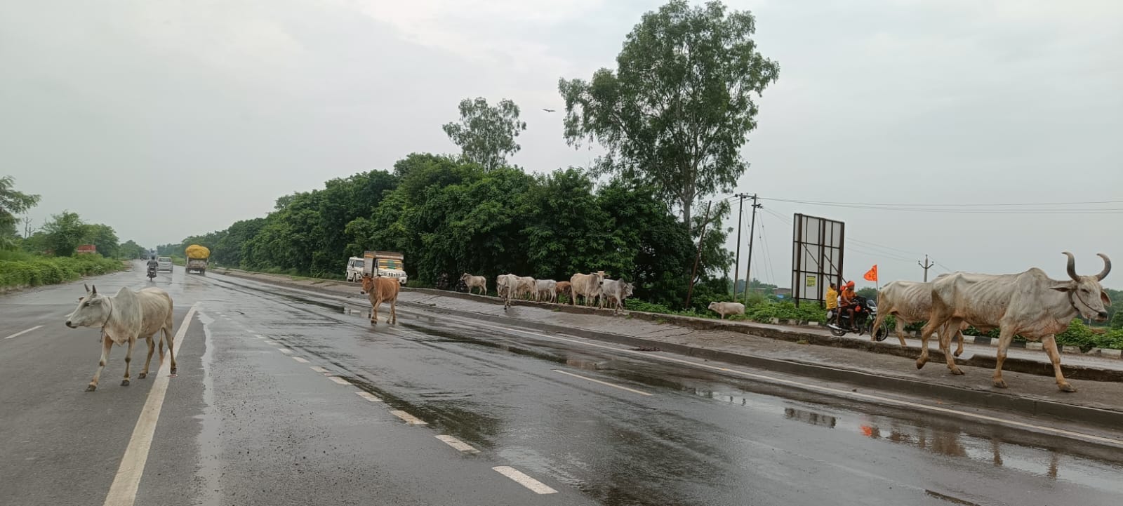 पोस्टमॉर्टम हाउस पर होमगार्ड सुशील की गमजदा पत्नी सुशीला (मध्य में)। संवाद पोस्टमॉर्टम हाउस पर होमगार्ड सुशील की गमजदा पत्नी सुशीला (मध्य में)। संवाद