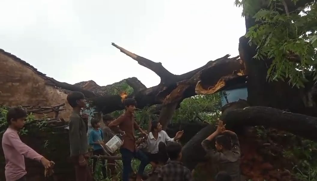 घरो पर पेड़ गिरने से मकान क्षतिग्रस्त, 2 महिलाएं घायल