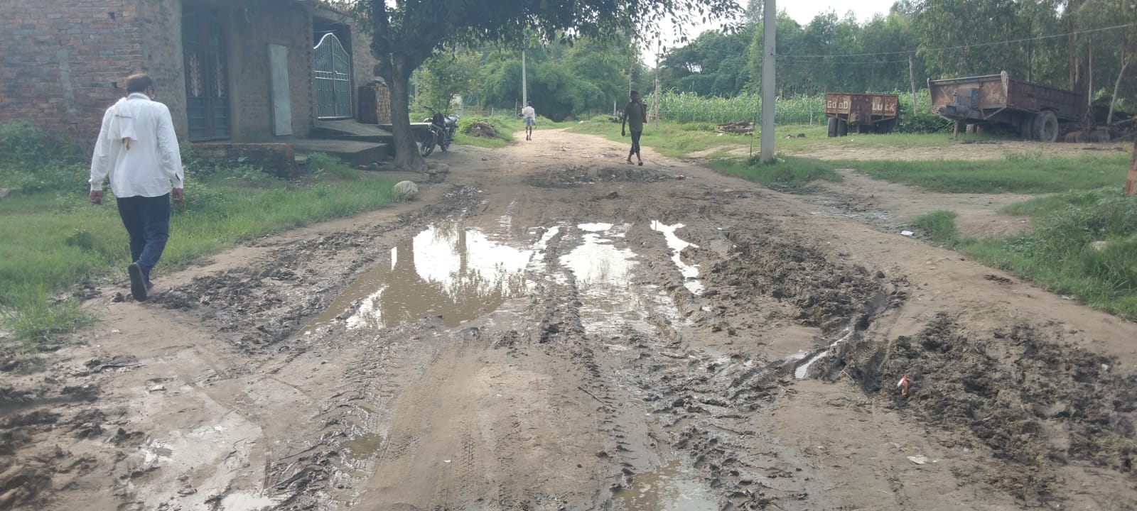 शेखापुर गांव में कीचड़ में तब्दील रास्ता, जान जोखिम में डालकर स्कूल जाने को मजबूर मासूम। आज का फ