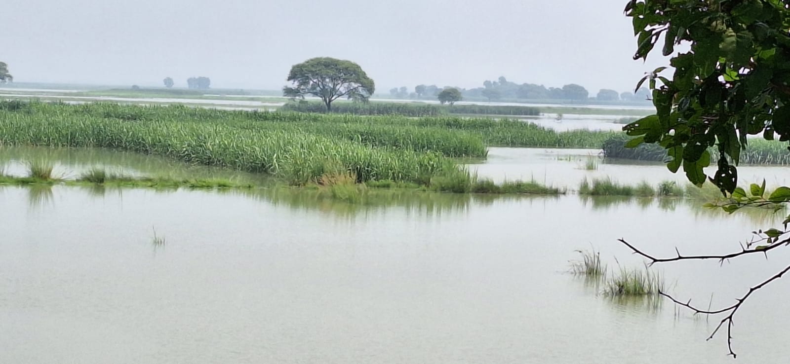 दोहरीघाट में बढ़ा सरयू नदी का जलस्त, डूबी श्मशान घाट की सीढियां।संवाद दोहरीघाट में बढ़ा सरयू नदी का जलस्त, डूबी श्मशान घाट की सीढियां।संवाद