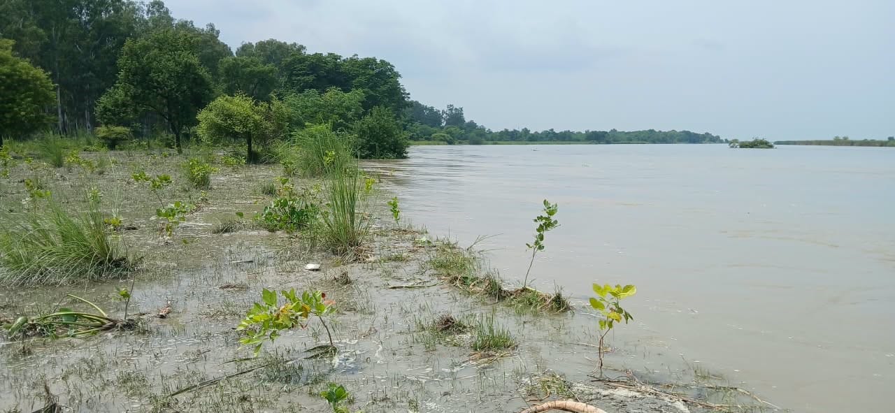 अनूपशहर में गंगा में समाई गन्ने की फसल को दिखाते किसान। संवाद अनूपशहर में गंगा में समाई गन्ने की फसल को दिखाते किसान। संवाद