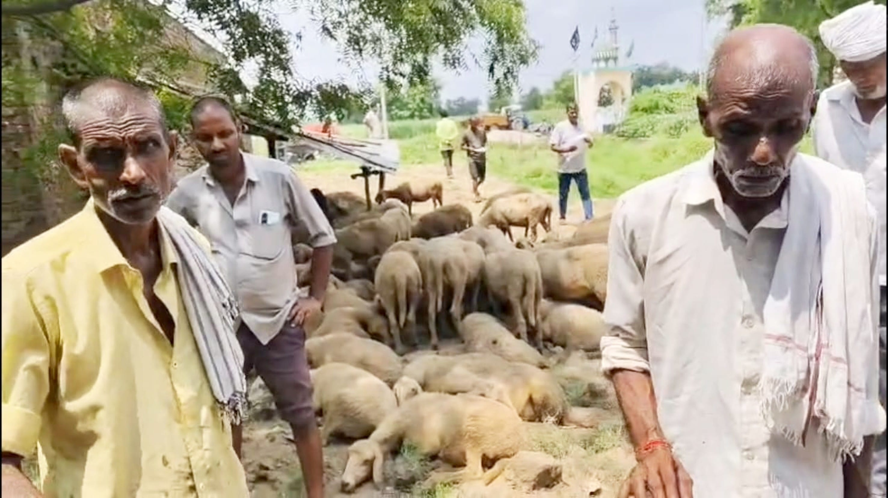 बलरामपुर में पचपेड़वा में घटना की जानकारी देता पीड़ित । बलरामपुर में पचपेड़वा में घटना की जानकारी देता पीड़ित ।