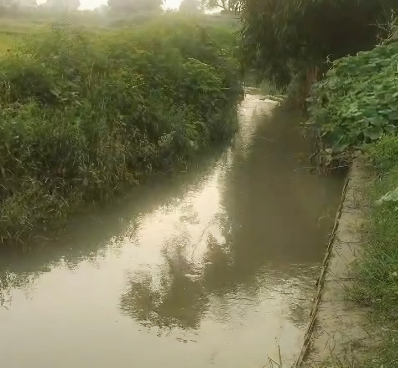 फोटो-27- घटना के बाद रोते-बिलखते परिजन। संंवाद फोटो-27- घटना के बाद रोते-बिलखते परिजन। संंवाद