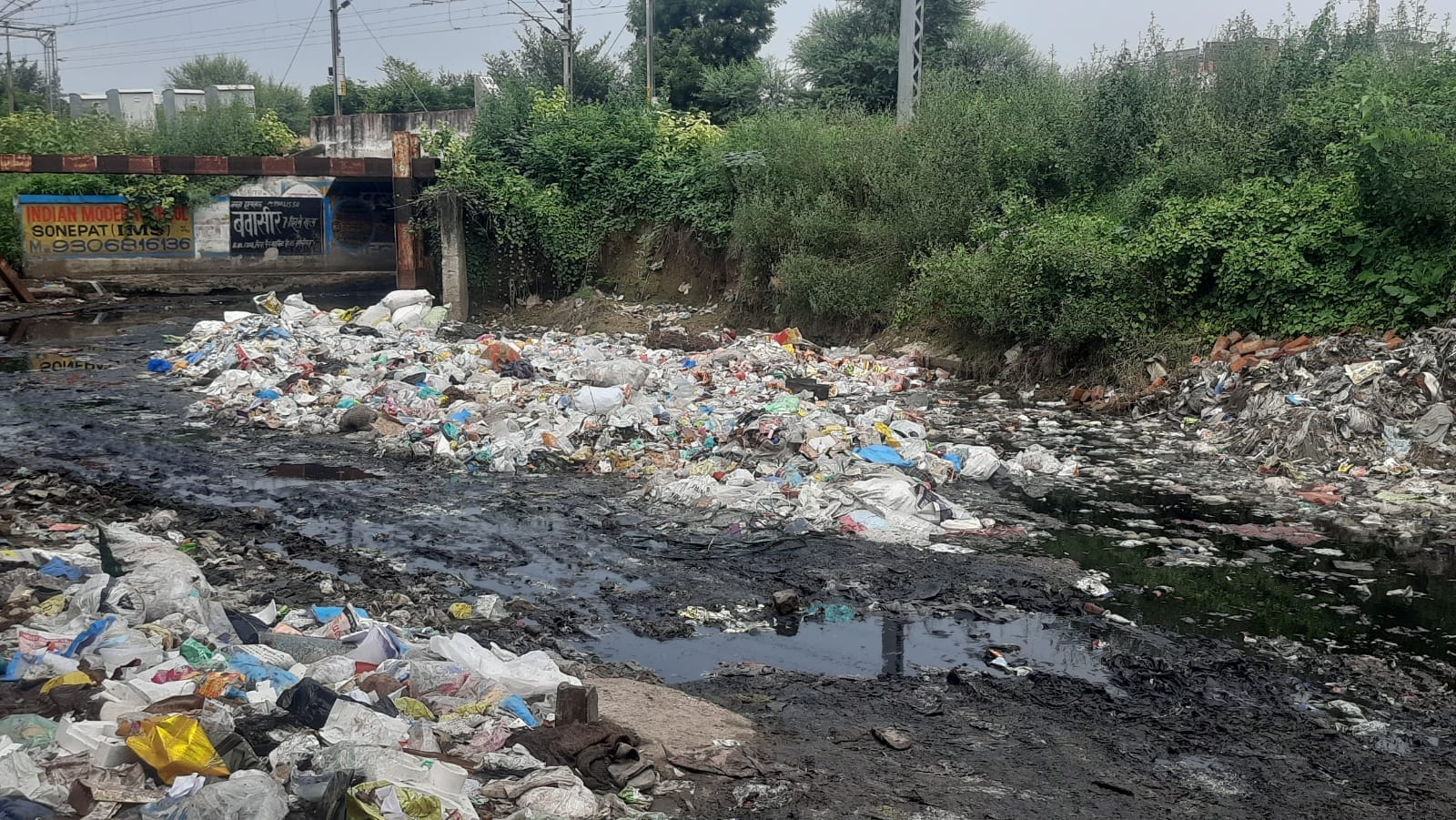 फोटो : : सोनीपत नगर निगम कार्यालय के गेट पर धरना के दौरान नारबाजी करते संविदा कर्मचारी। संवाद