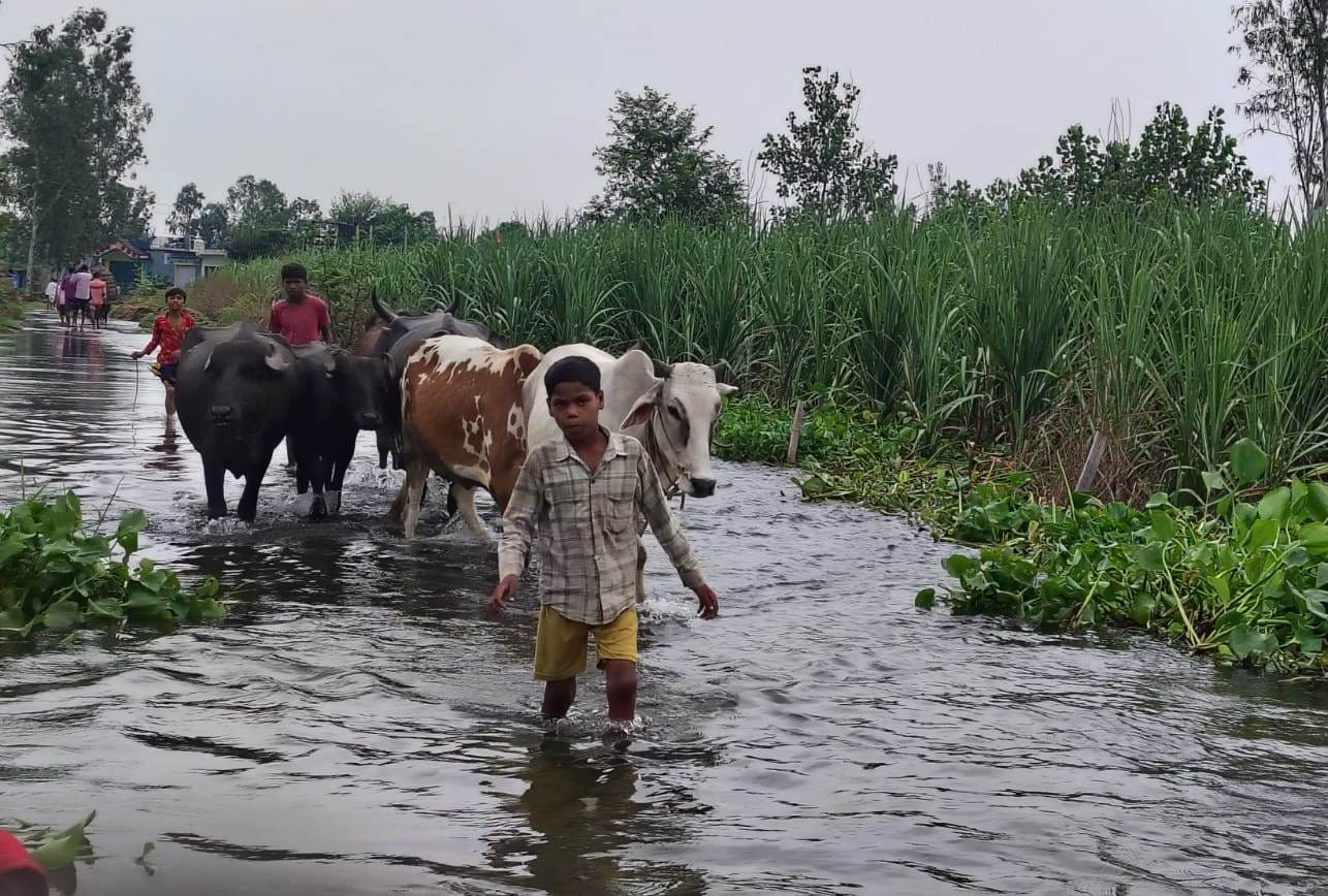 खादर क्षेत्र में आवागमन के लिए नाव का सहारा लेते ग्रामीण। संवाद खादर क्षेत्र में आवागमन के लिए नाव का सहारा लेते ग्रामीण। संवाद