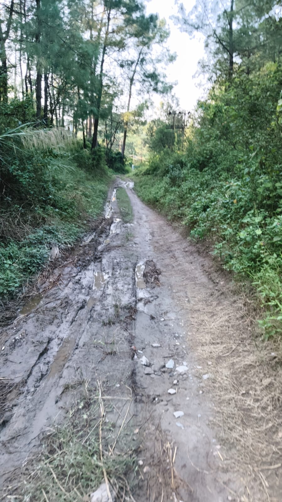-सोमदत्त शर्मा,प्रधान,चकमोह पंचायत। -सोमदत्त शर्मा,प्रधान,चकमोह पंचायत।