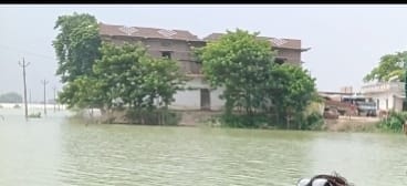 सरयू नदी के बाढ़ के पानी से घिरा चाँददीयर पंचायत का पलटू नगर का पुरवा।संवाद सरयू नदी के बाढ़ के पानी से घिरा चाँददीयर पंचायत का पलटू नगर का पुरवा।संवाद