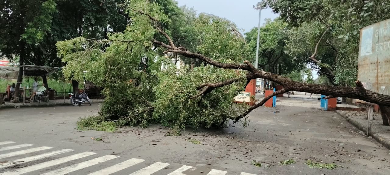 शहर के बाड़ी माजरा क्षेत्र में जलभराव के दौरान निकलते लोग। संवाद शहर के बाड़ी माजरा क्षेत्र में जलभराव के दौरान निकलते लोग। संवाद