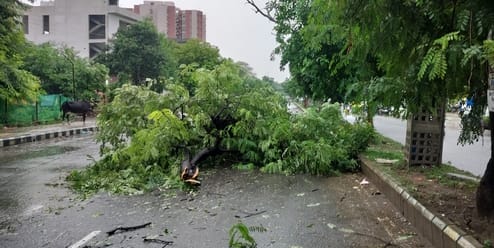 फरीदाबाद सेक्टर 49 गुरूग्राम रोड पर भरा बारिश का पानी । फोटो जोगेंद्र शर्मा फरीदाबाद सेक्टर 49 गुरूग्राम रोड पर भरा बारिश का पानी । फोटो जोगेंद्र शर्मा