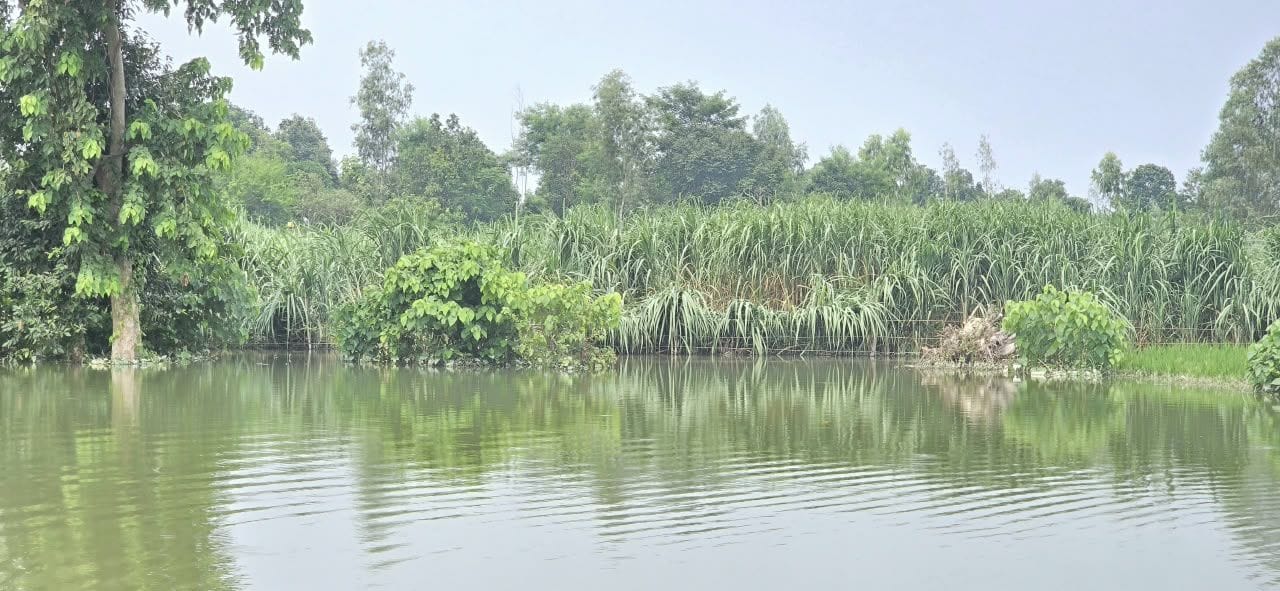 गोंडा में बाढ़ के हालात बयां करतीं तस्वीरें। संवाद गोंडा में बाढ़ के हालात बयां करतीं तस्वीरें। संवाद