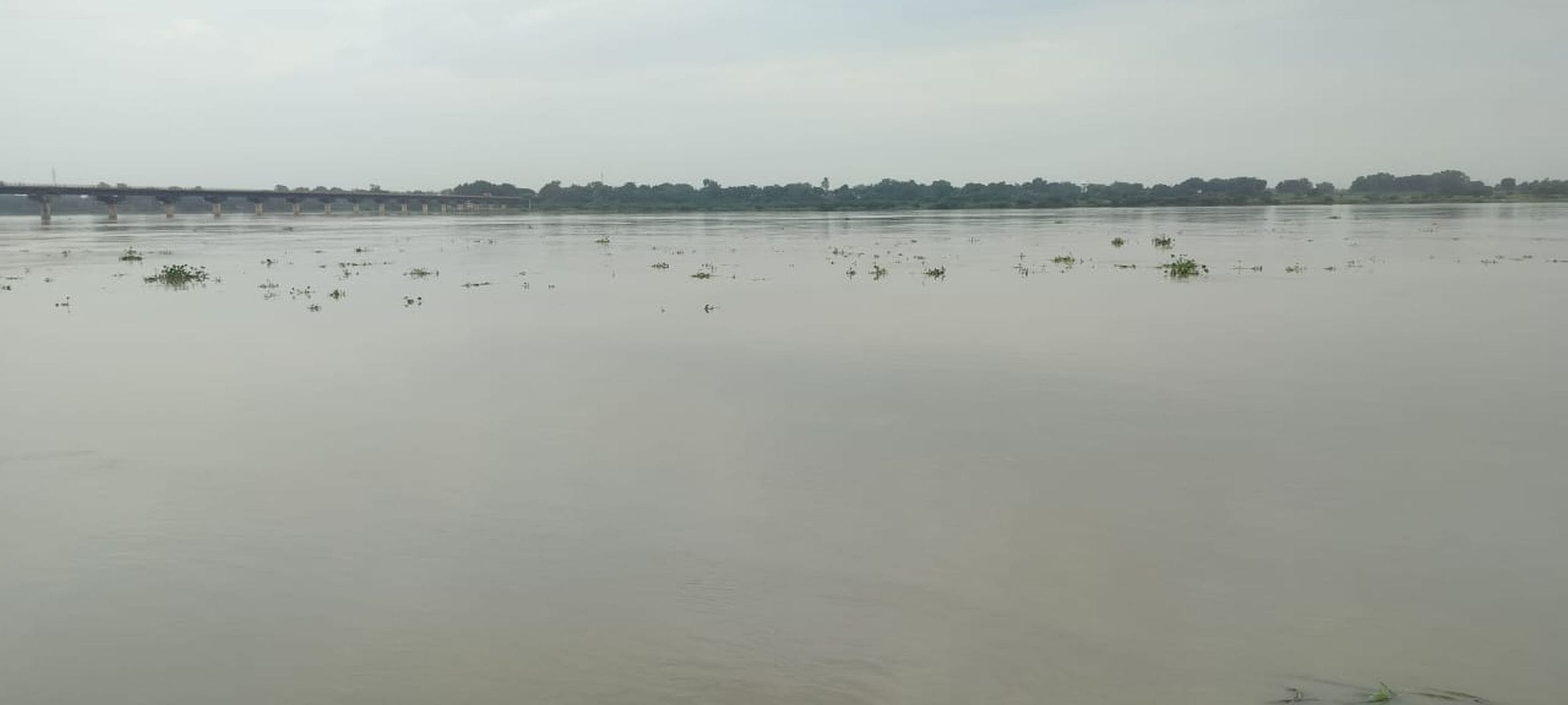 डलमऊ के कटरी क्षेत्र में पहुंचा गंगा का पानी। डलमऊ के कटरी क्षेत्र में पहुंचा गंगा का पानी।