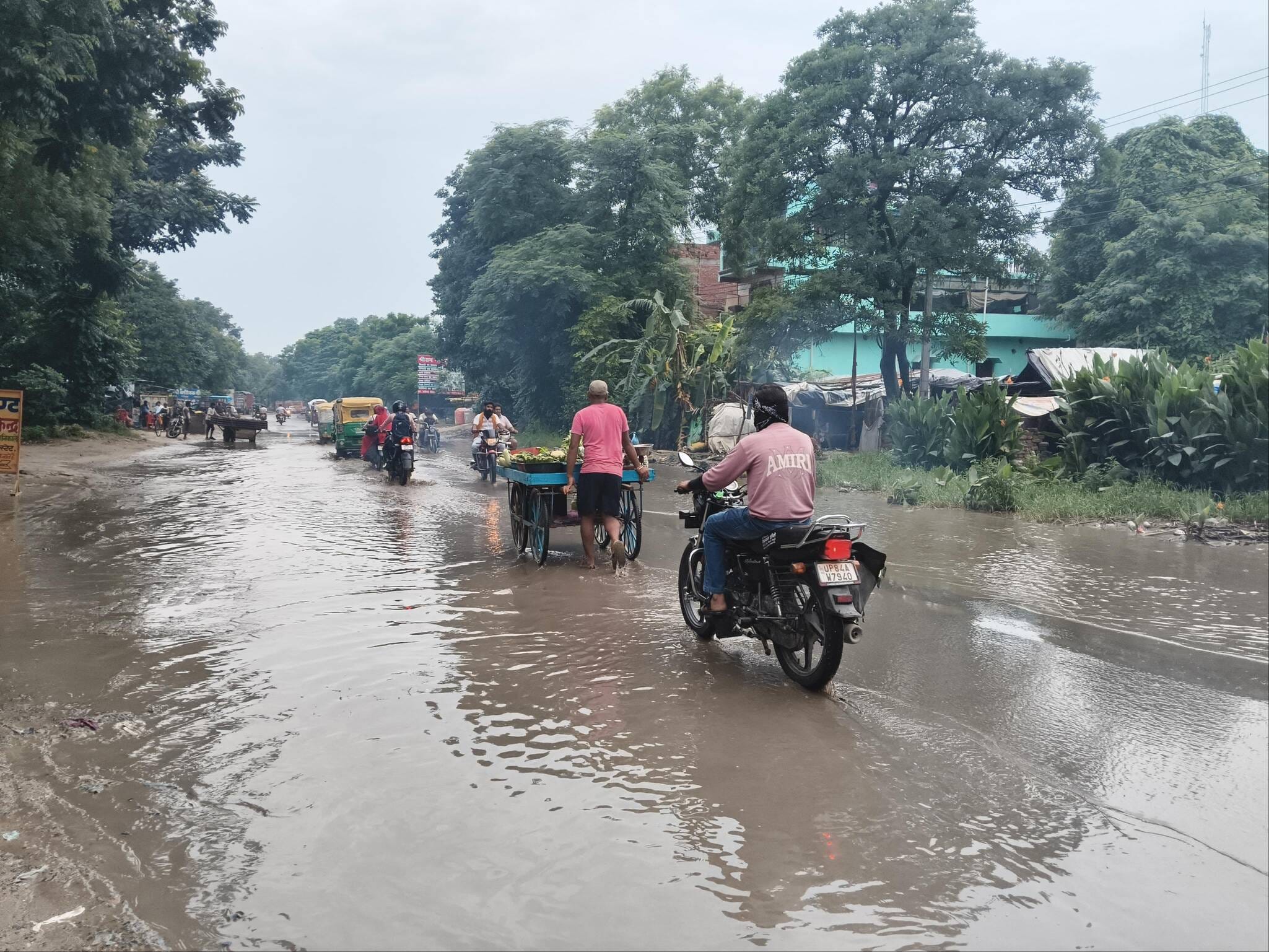 फोटो 6 बेवर के गग्गरपुर क्षेत्र में लहलहाती धान की खड़ी फसल। संवाद
