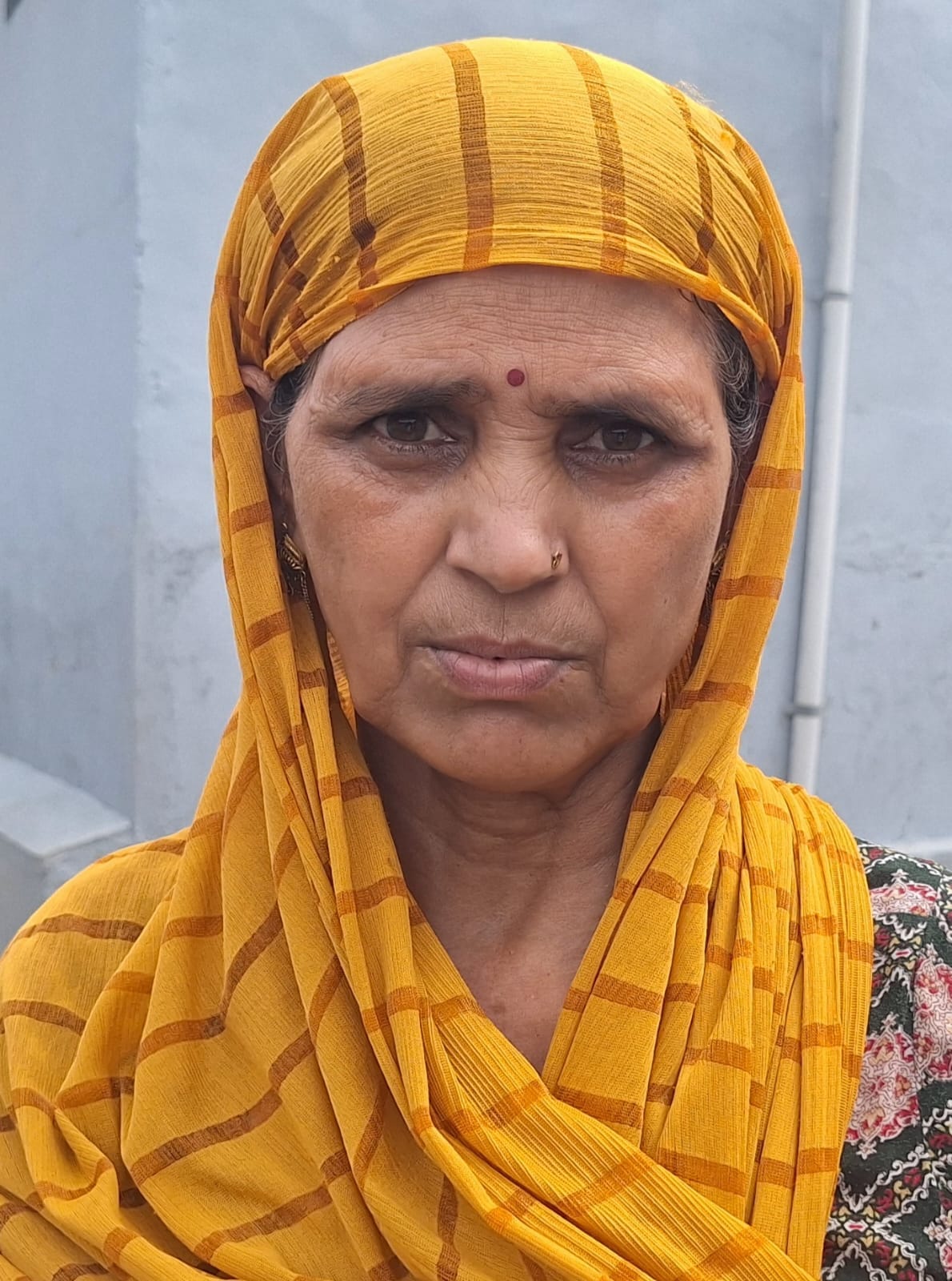 जाटोली निवासी जीतू चौहान जाटोली निवासी जीतू चौहान