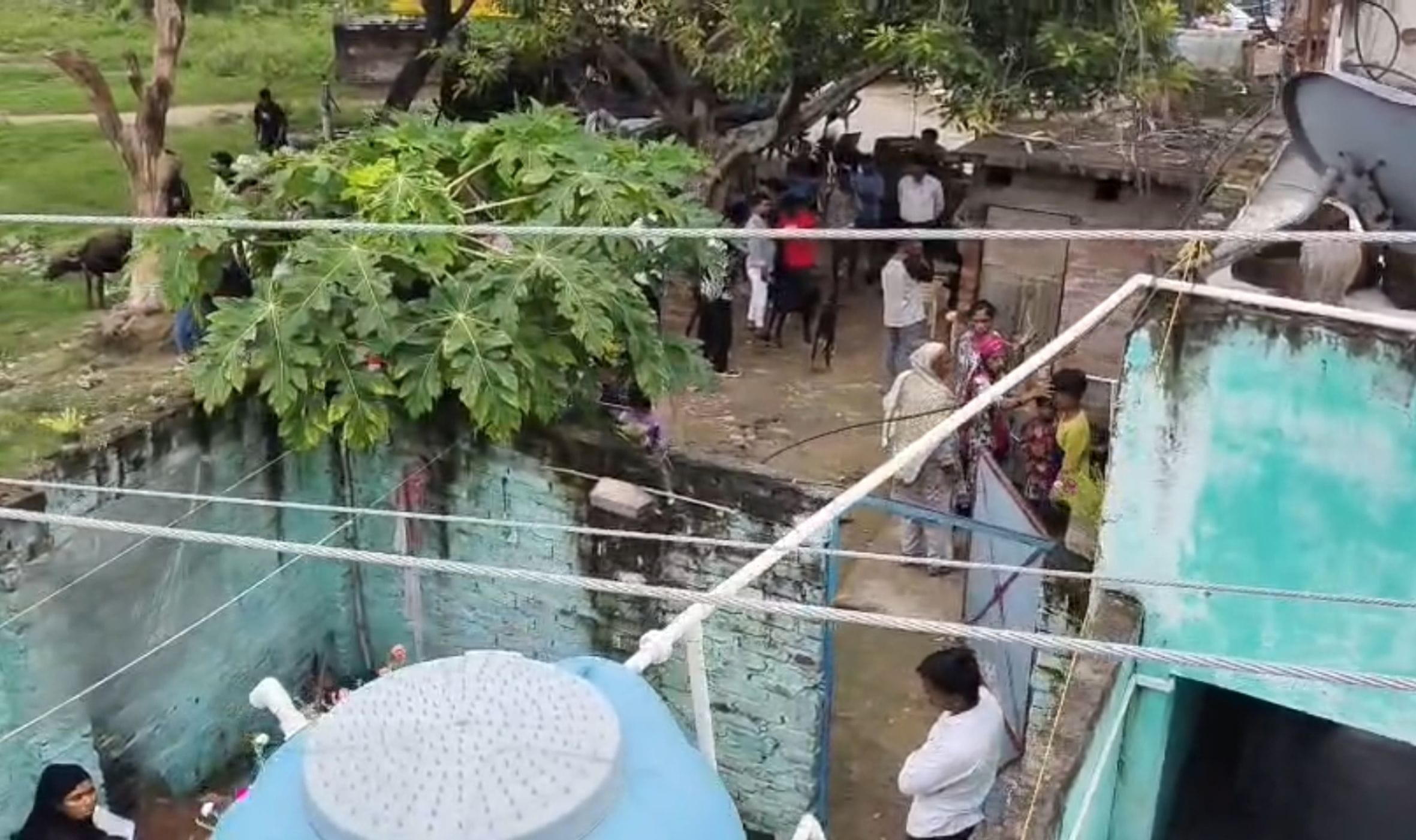 कामिल की फाइल फोटो।