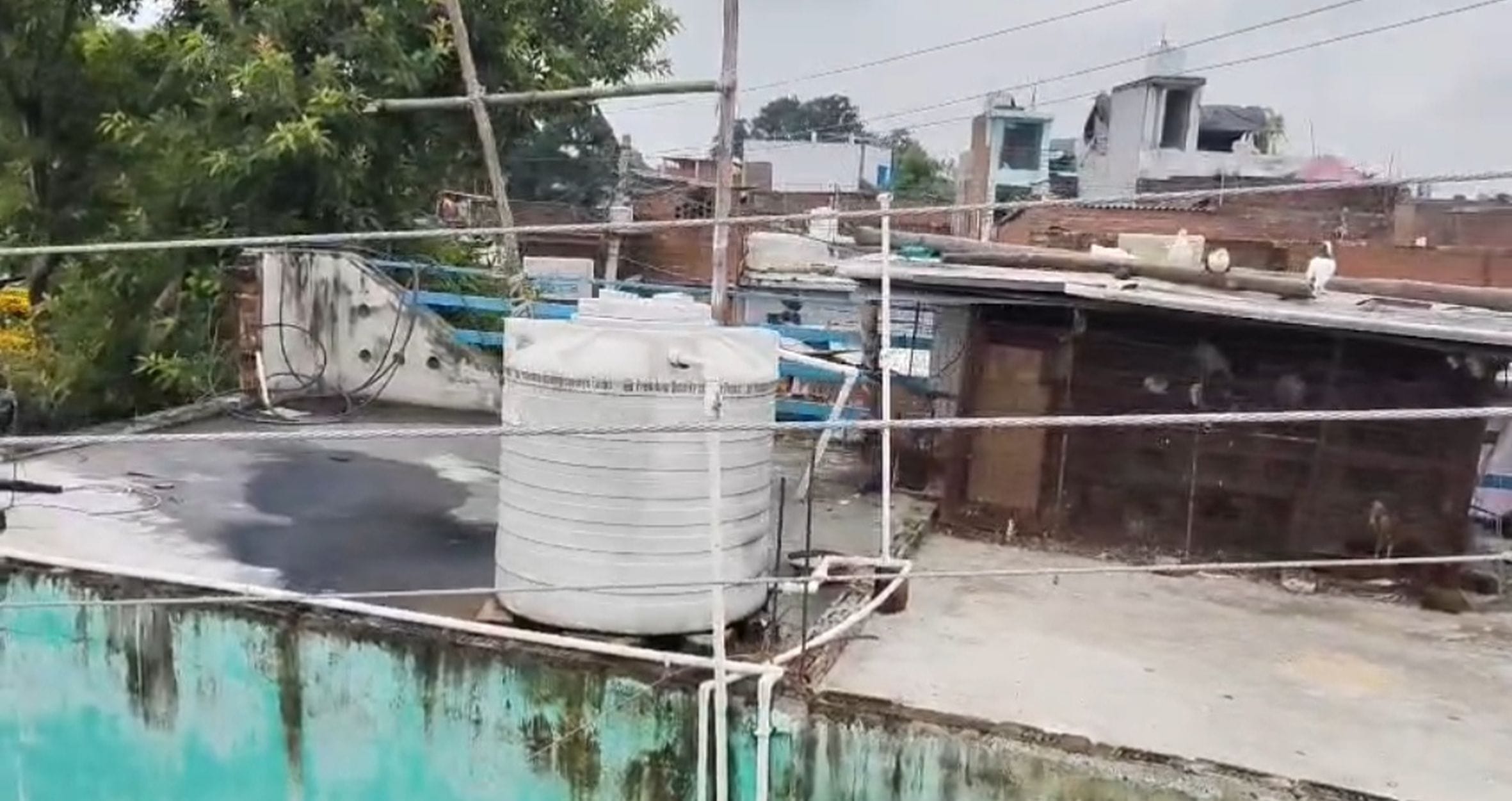 कामिल की फाइल फोटो।