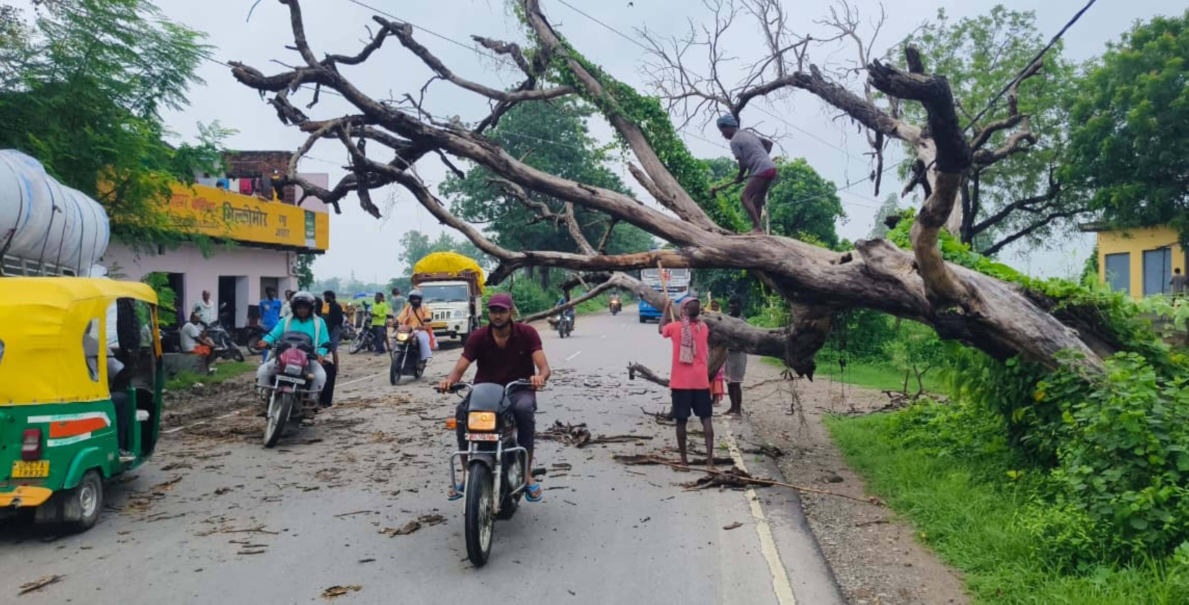 नारी पचदेवरा गांव में आंधी और बारिश से सड़क पर गिरा पेड़ व टूटा बिजली का खंभा। संवाद नारी पचदेवरा गांव में आंधी और बारिश से सड़क पर गिरा पेड़ व टूटा बिजली का खंभा। संवाद