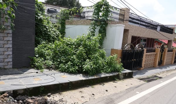 धर्मशाला के कोतवाली बाजार में पैदल चलने वालों के लिए फुटपाथ ही नहीं। अमर उजाला धर्मशाला के कोतवाली बाजार में पैदल चलने वालों के लिए फुटपाथ ही नहीं। अमर उजाला