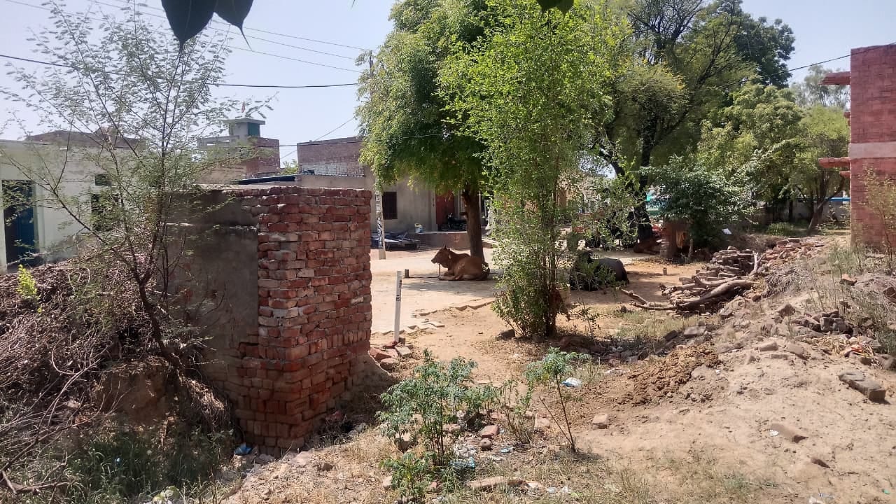 फतेहाबाद। गांव ढांड में स्थित राजकीय वरिष्ठ माध्यमिक विद्यालय। संवाद फतेहाबाद। गांव ढांड में स्थित राजकीय वरिष्ठ माध्यमिक विद्यालय। संवाद