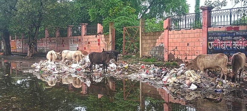 शहर के अलग-अलग जगहों पर पड़ा कूड़ा।