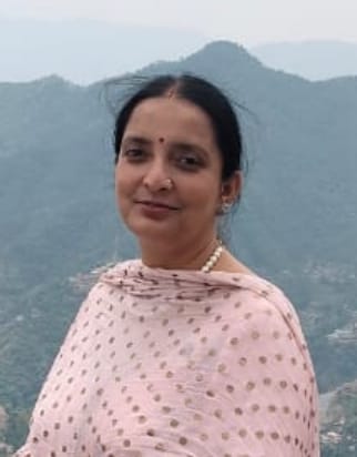 बरोटीवाला से  हिमुडा को जोड़ने वाला पुल हुआ क्षतिग्रस्त- संवाद