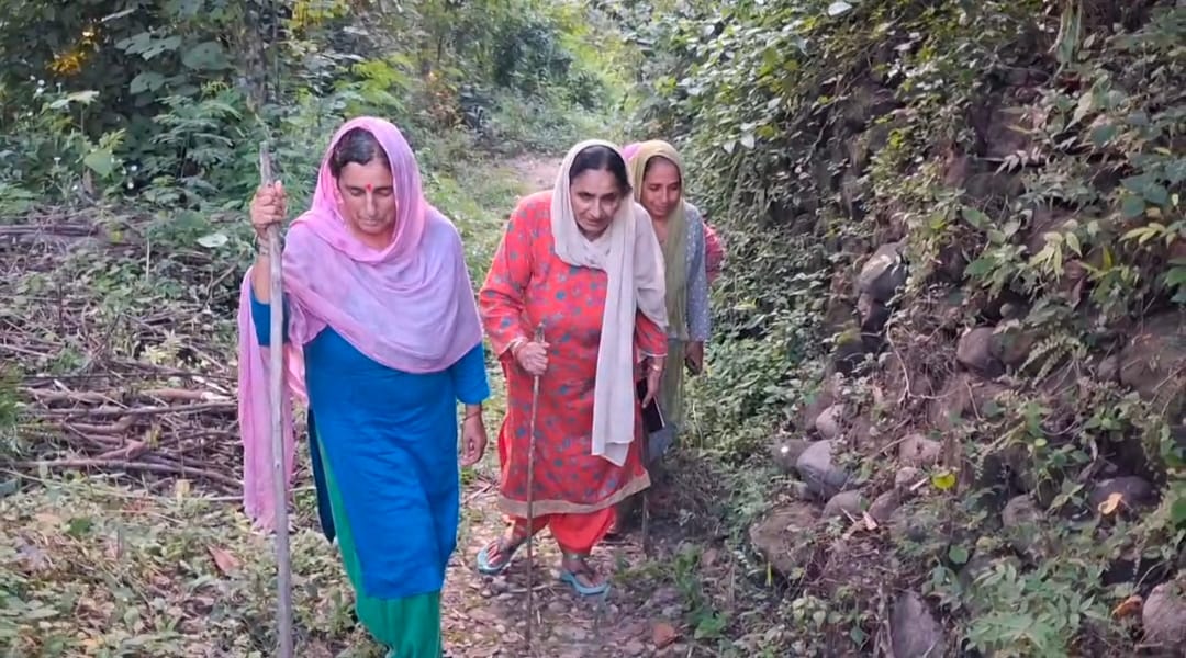 ग्राम पंचायत साहन्वीं के गांव बढ़ार के लोग बुजुर्ग को पकड़कर मुख्य सडक तक ले जाते हुए। संवाद