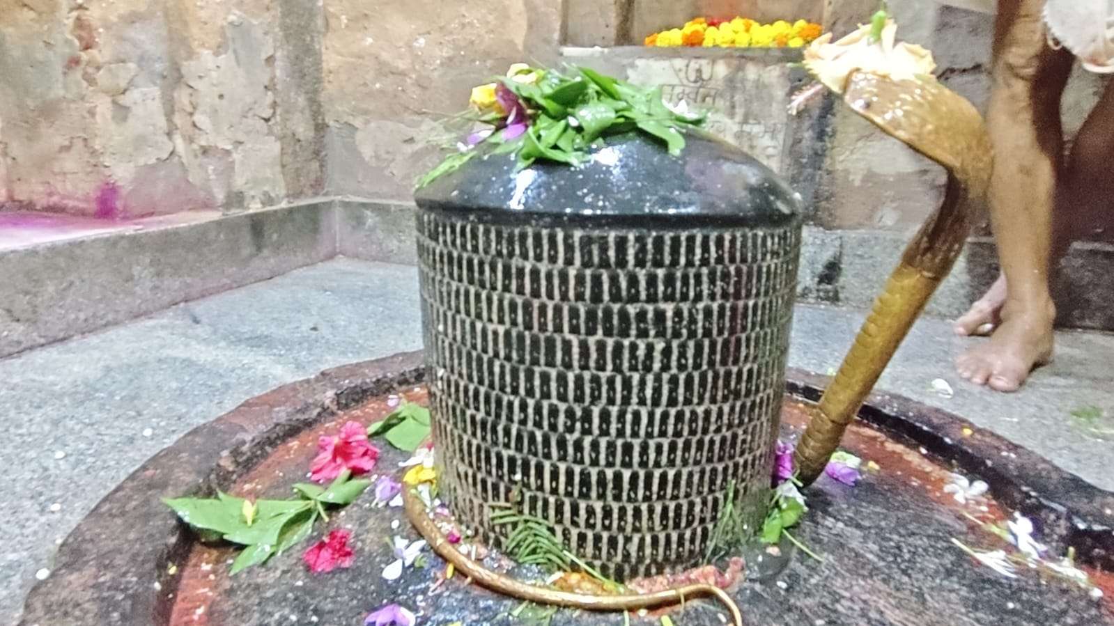 कोटेश्वर महादेव मंदिर में पूजा अर्चना करते श्रद्धालु कोटेश्वर महादेव मंदिर में पूजा अर्चना करते श्रद्धालु