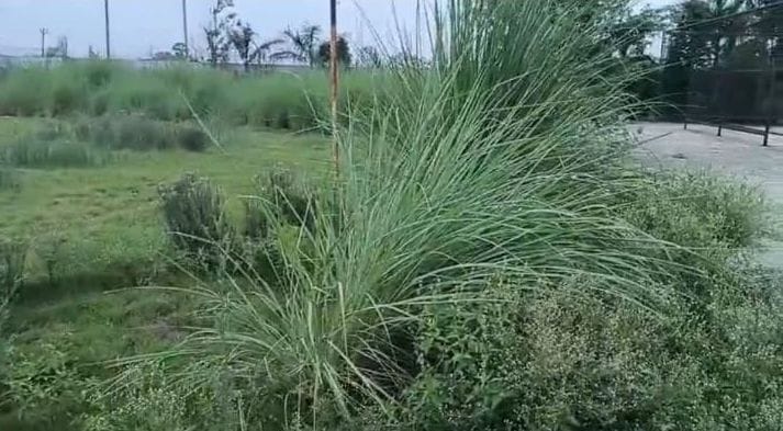 स्टेडियम में देखरेख के अभाव में पड़ी ओपन जिम की मशीनें। संवाद