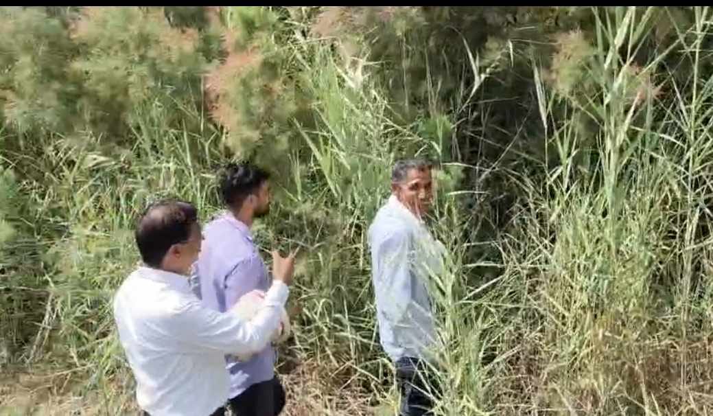 फतेहाबाद में फील्ड में सर्वे करते हुए अधिकारी