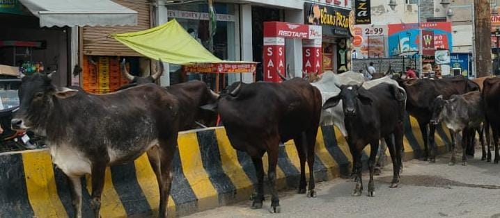 मृतक जगराम यादव मृतक जगराम यादव