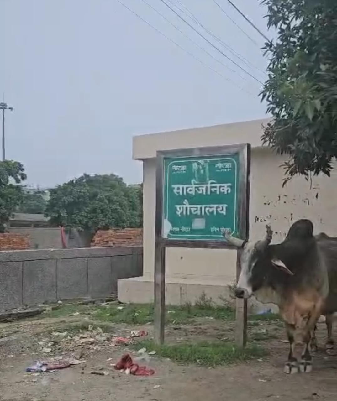 सुनील दत्त कौशिक सुनील दत्त कौशिक