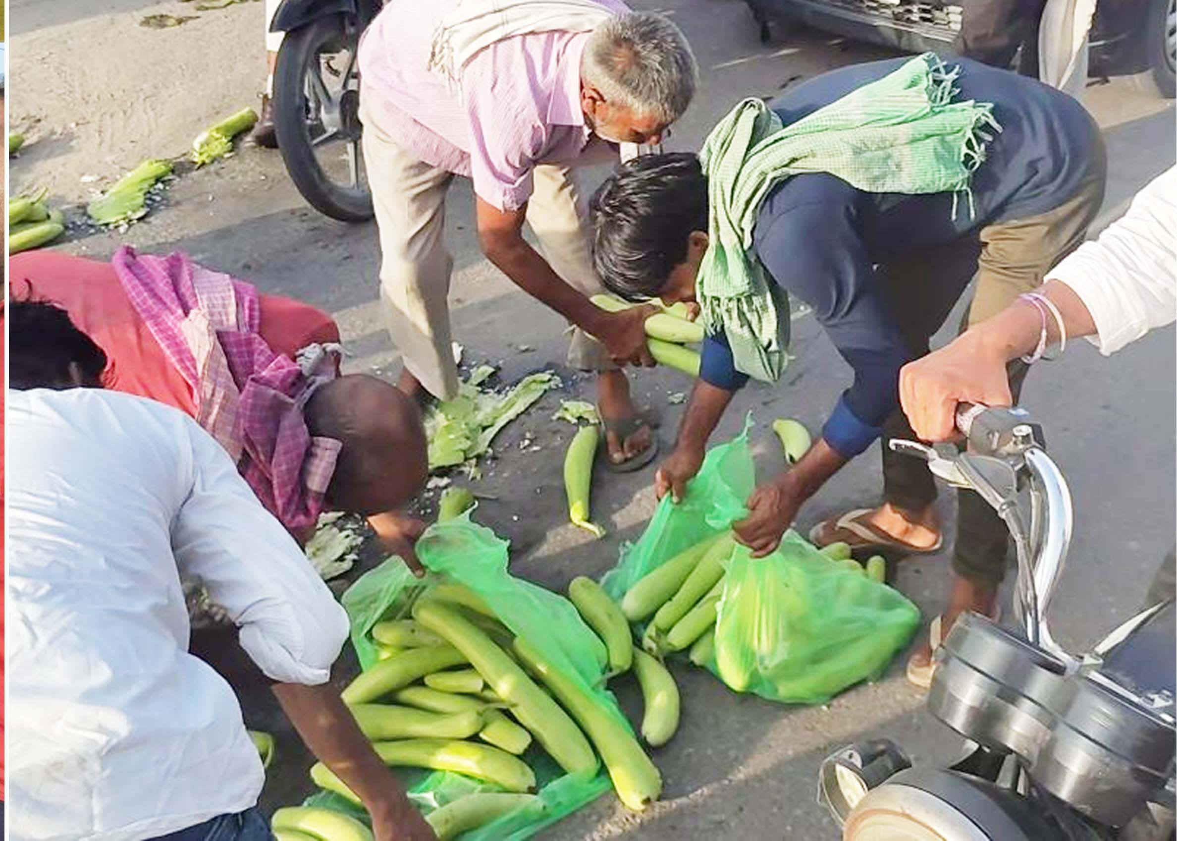 तरावडी घीया का उचित मूल्य न मिलने से रोष जताते किसान । संवाद तरावडी घीया का उचित मूल्य न मिलने से रोष जताते किसान । संवाद
