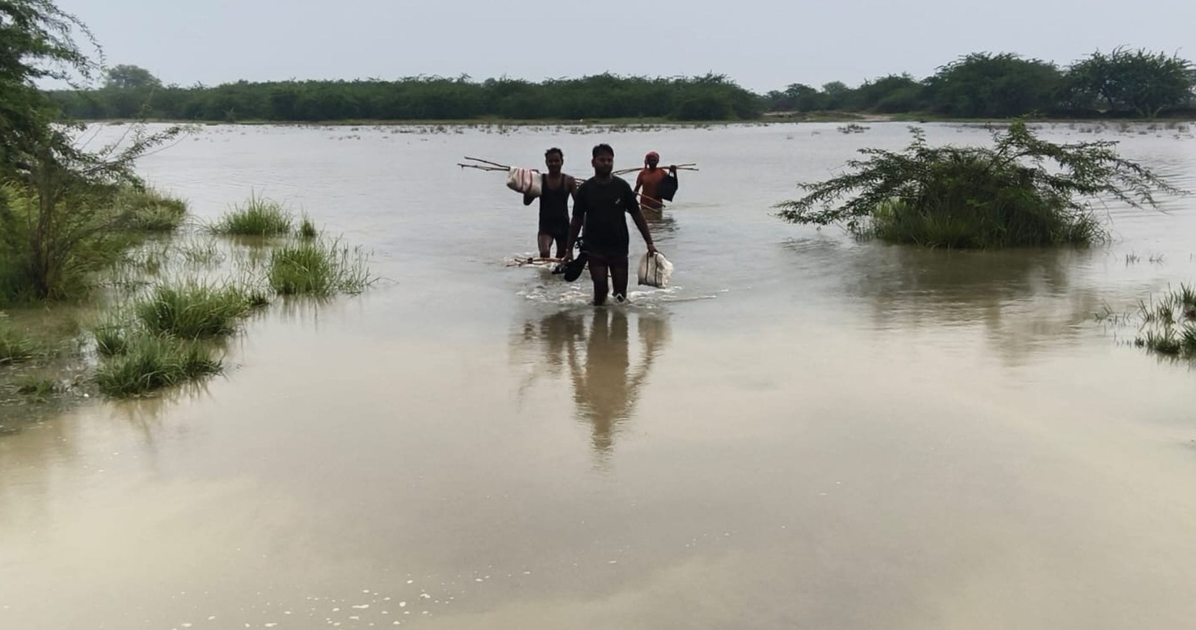 डलमऊ तहसील क्षेत्र में गंगा में आई बाढ़ के पानी से डूबी फसल।