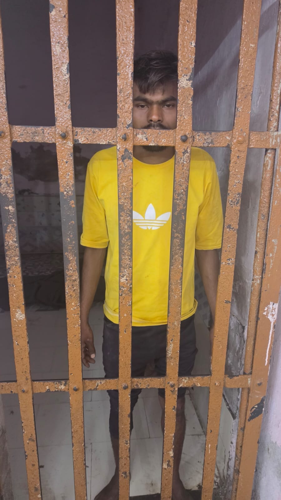 घटना के बाद ट्रैफिक सिपाही नवीन को राखी बांधतीं रूबी कश्यप। घटना के बाद ट्रैफिक सिपाही नवीन को राखी बांधतीं रूबी कश्यप।