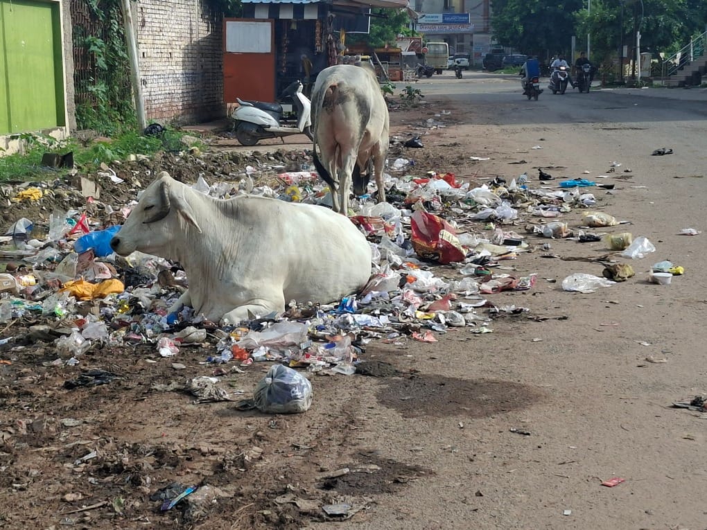 सफाईकर्मी कागजों पर ही तैनात हैं। जमीन पर अब कचरे के ढेर 