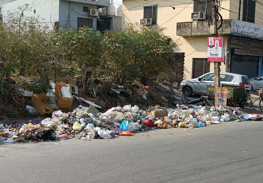 अमरकोट पंचायत घर के समीप जंगल के साथ लगते मार्ग पर फेंकी जा रही गंदगी। संवाद अमरकोट पंचायत घर के समीप जंगल के साथ लगते मार्ग पर फेंकी जा रही गंदगी। संवाद