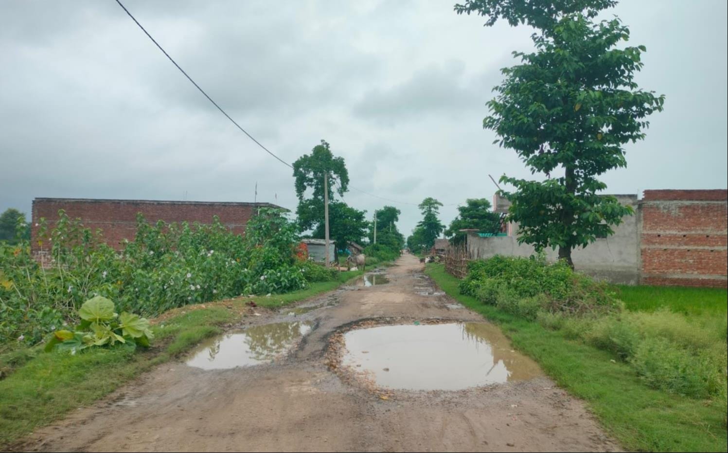 जर्जर सड़क। जर्जर सड़क।