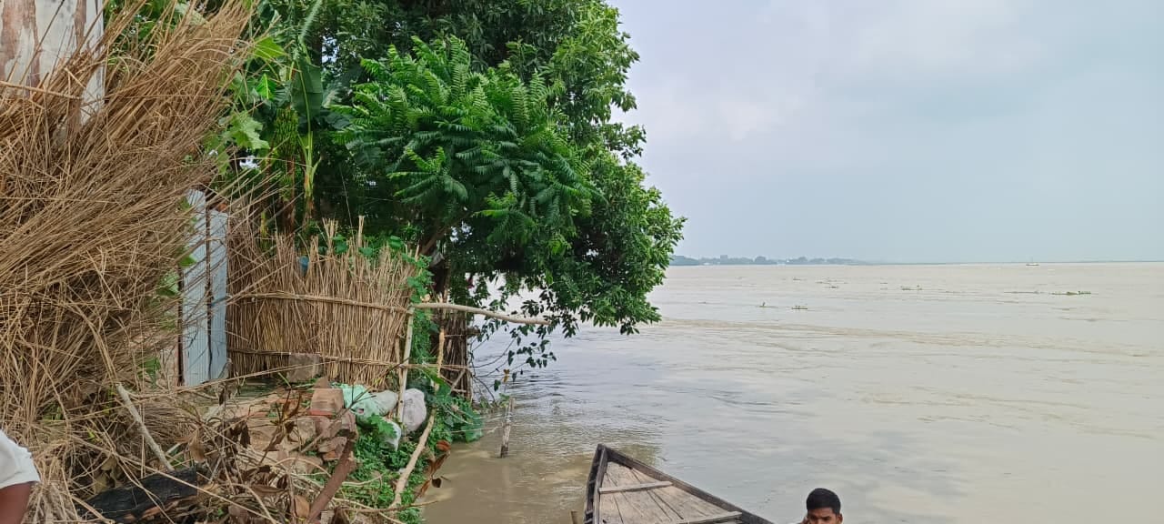 राजेसुल्तानपुर के माझा कम्हरिया में सरयू नदी में डूबे परक्यूपाइन। संवाद