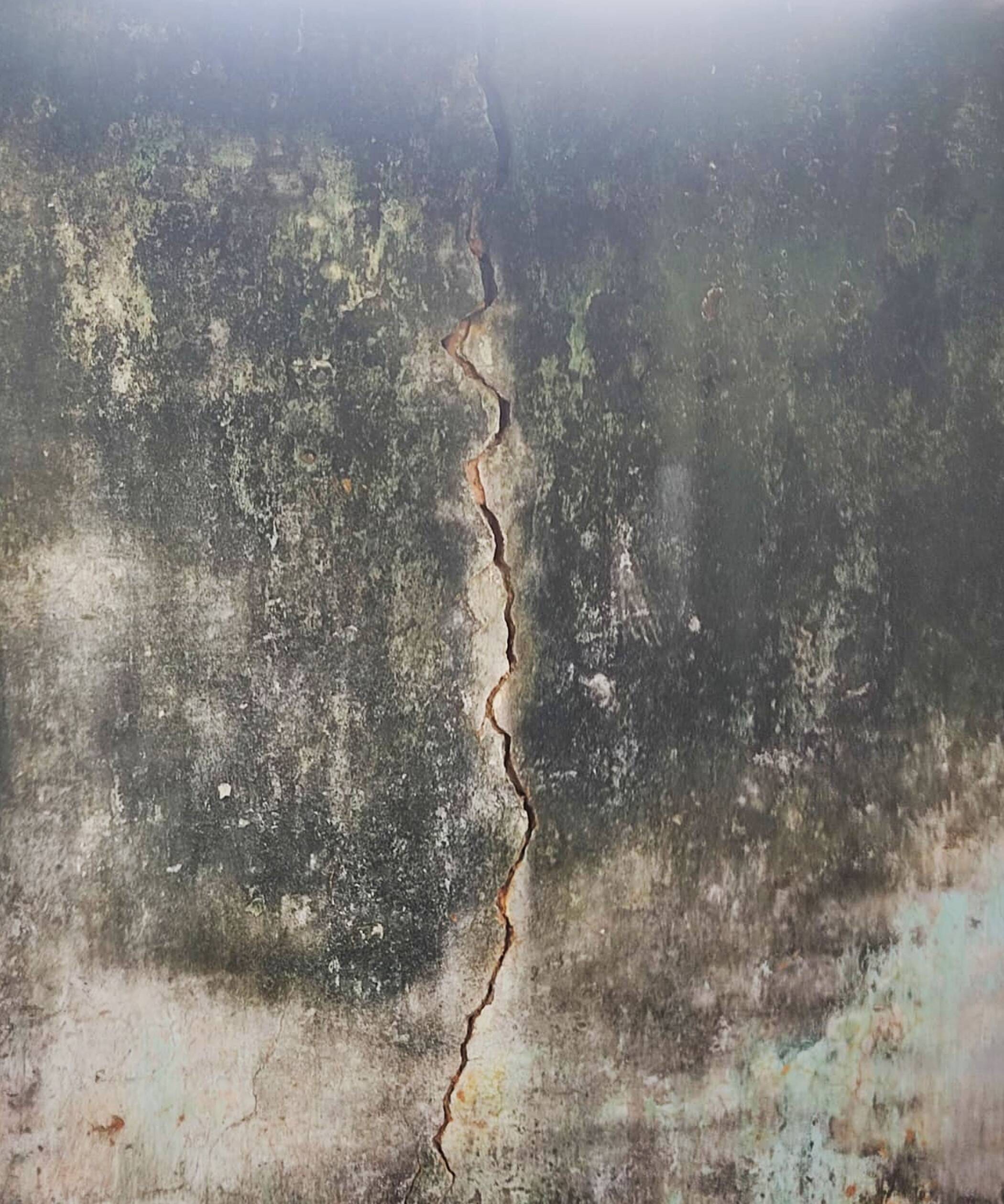 फोटो-15-पशु अस्पताल की छत से दिखती सरिया। संवाद फोटो-15-पशु अस्पताल की छत से दिखती सरिया। संवाद